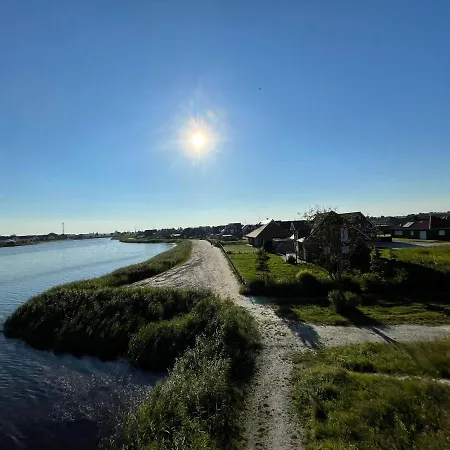 Wangerbrise Schillig